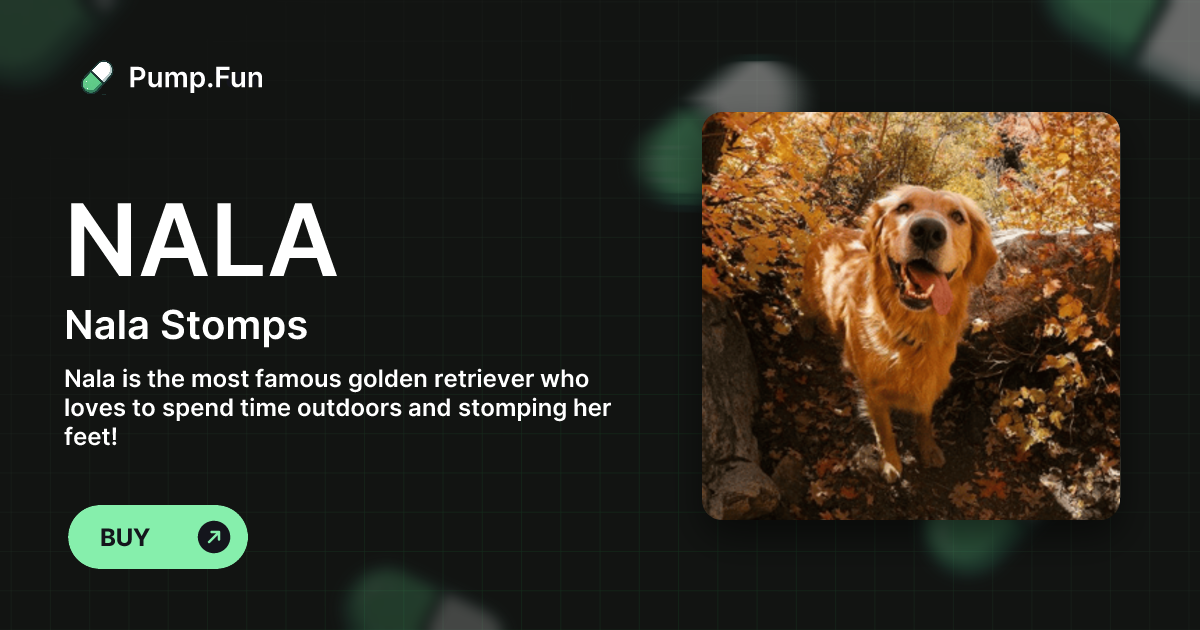 Nala Stomps (NALA) - Pump