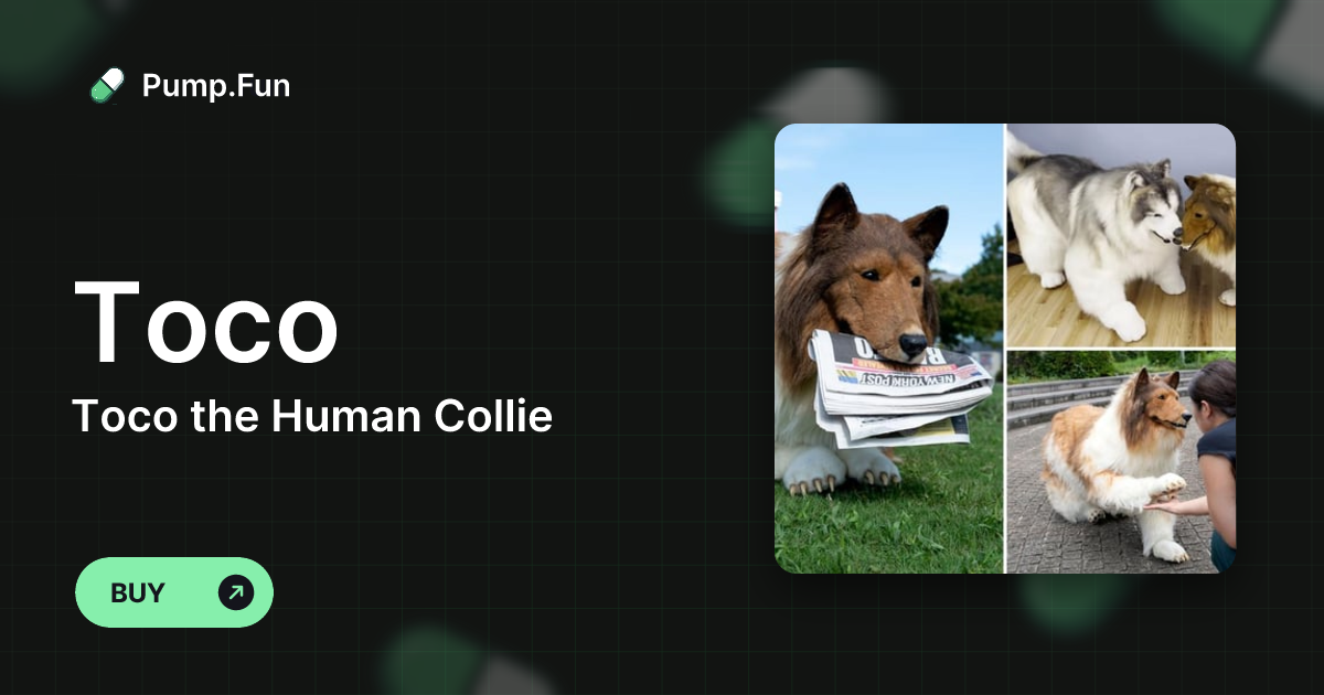 Toco the Human Collie (Toco) - Pump